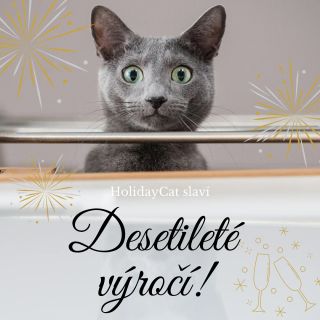 HolidayCat slaví 10 leté výročí!! 🎉🍾 Ano, už jsme tu s vámi celých deset let a hlídáme vám chlupáče u vás doma. Nejdříve...